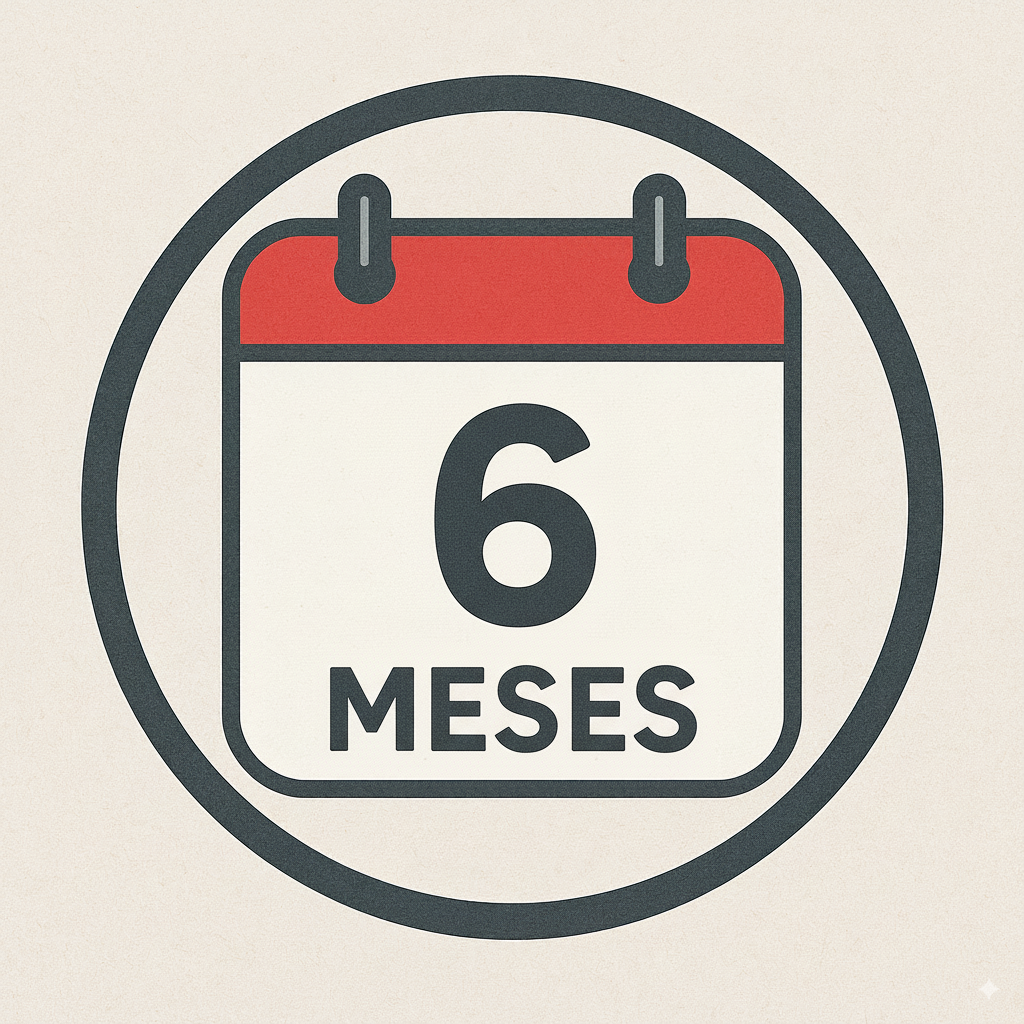 6 meses