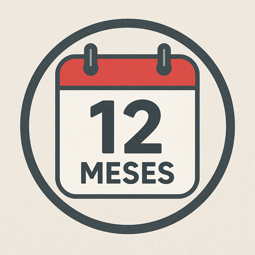 12 meses